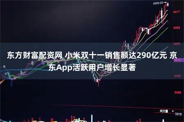 东方财富配资网 小米双十一销售额达290亿元 京东App活跃用户增长显著