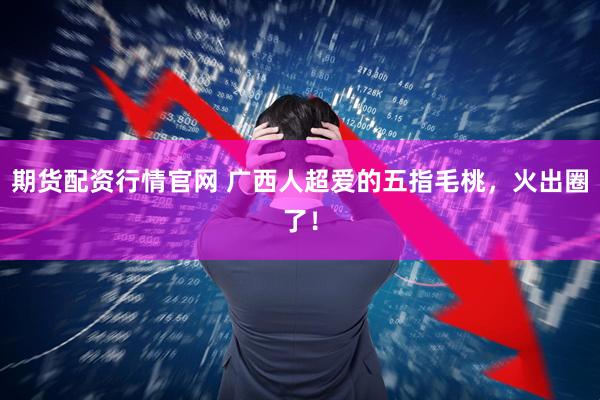 期货配资行情官网 广西人超爱的五指毛桃，火出圈了！