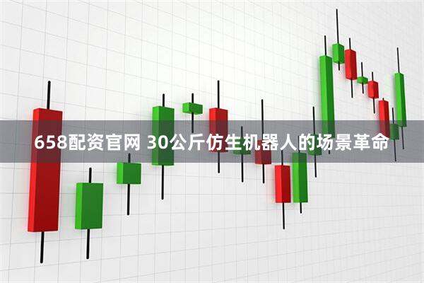 658配资官网 30公斤仿生机器人的场景革命