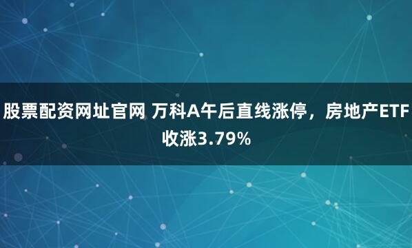 股票配资网址官网 万科A午后直线涨停，房地产ETF收涨3.79%