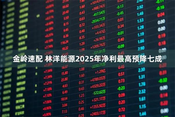 金岭速配 林洋能源2025年净利最高预降七成