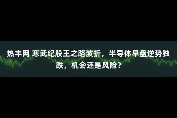 热丰网 寒武纪股王之路波折，半导体早盘逆势独跌，机会还是风险？